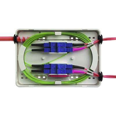 Un boîtier de distribution avec quatre connecteurs optiques bleus et des fibres vertes organisées en boucle.