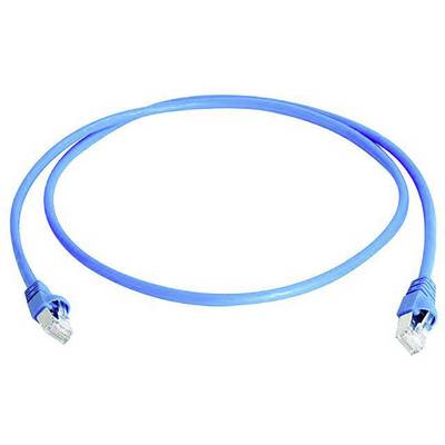 Câble Ethernet bleu avec connecteurs RJ45 aux deux extrémités, adapté aux réseaux et connexions Internet.