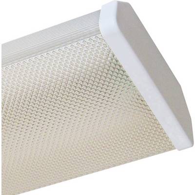 Plafonnier avec un abat-jour blanc et un verre texturé, qui peut être installé au plafond. Adapté pour un éclairage efficace d'une pièce.