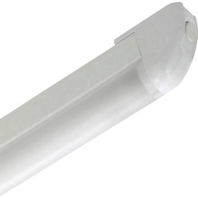 Un tube fluorescent LED blanc avec un boîtier argenté, incliné contre un fond blanc.