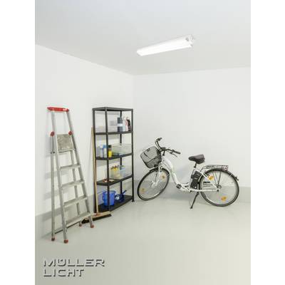 Un garage avec une échelle, une étagère métallique contenant des objets et un vélo. Au plafond est installée une lampe suspendue.
