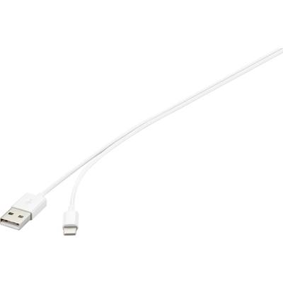 Basetech Apple iPad/iPhone/iPod Câble de raccordement [1x USB 2.0 type A mâle - 1x Dock mâle Lightning] 2.00 m blanc