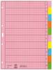 Leitz 4340 Répertoire DIN A4 blanc Papier satiné multicolore 10 onglets 43400000