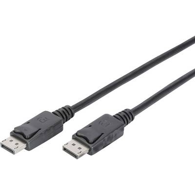 Deux câbles DisplayPort noirs avec des connecteurs aux deux extrémités sur un fond blanc, utilisés pour les connexions vidéo et audio.