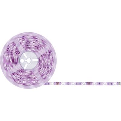 Ruban lumineux LED Lila enroulé, partiellement déroulé sur la droite. Idéal pour un éclairage décoratif ou d'accentuation.