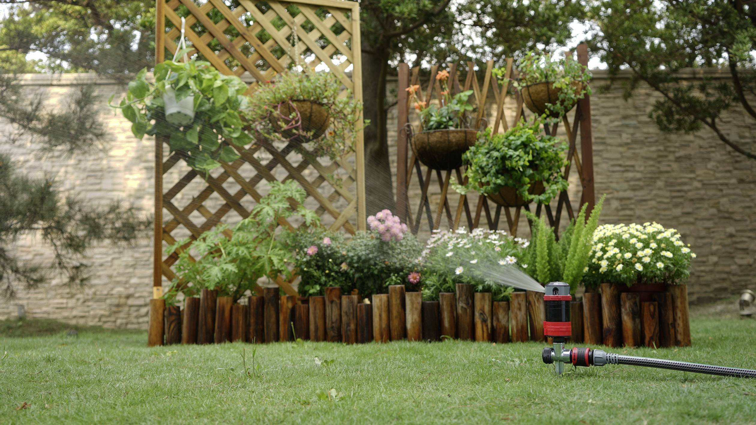 Un jardin luxuriant avec des fleurs devant une treille en bois, à côté duquel un arroseur tourne sur l'herbe verte.
