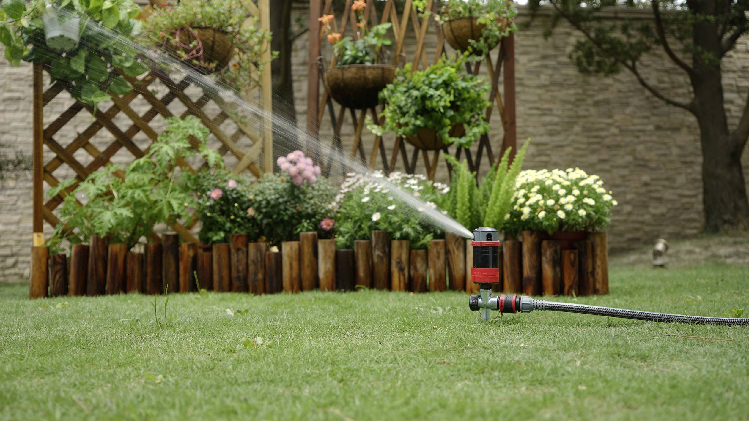 Un arroseur automatique irrigue une pelouse verte devant un massif de fleurs colorées avec un encadrement en bois en arrière-plan.