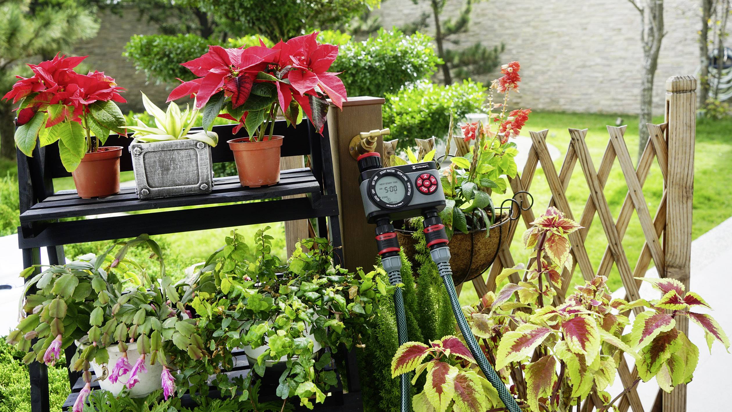 Un jardin avec des fleurs rouges en fleurs et des plantes vert et jaune. Sur une étagère se trouvent des pots de fleurs, à côté desquels se trouve un dispositif de contrôle de l'irrigation.
