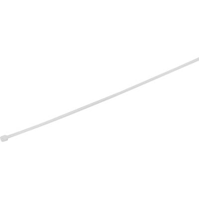 TRU COMPONENTS 1577941  Serre-câble 80 mm 2.50 mm blanc stabilisé à la chaleur 100 pc(s)