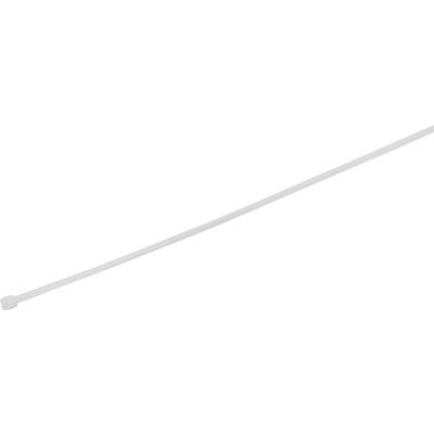 TRU COMPONENTS 1577943  Serre-câble 100 mm 2.50 mm blanc stabilisé à la chaleur 100 pc(s)