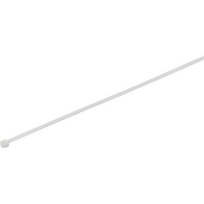 TRU COMPONENTS 1577949  Serre-câble 200 mm 2.50 mm blanc stabilisé à la chaleur 100 pc(s)