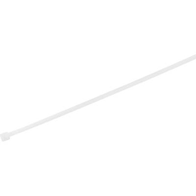 TRU COMPONENTS 1577985  Serre-câble 200 mm 3.60 mm blanc stabilisé à la chaleur 100 pc(s)