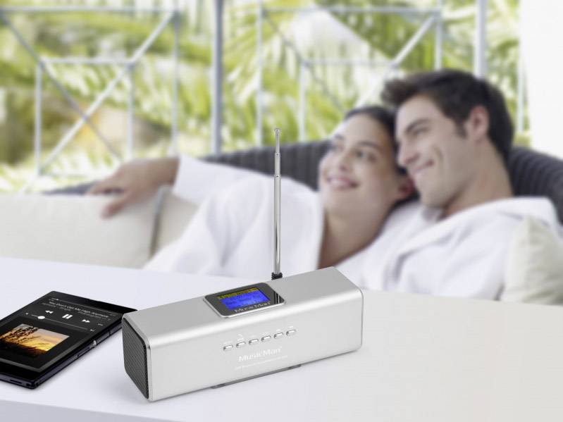 Technaxx Musicman BT-X29 Enceinte Bluetooth argent-2