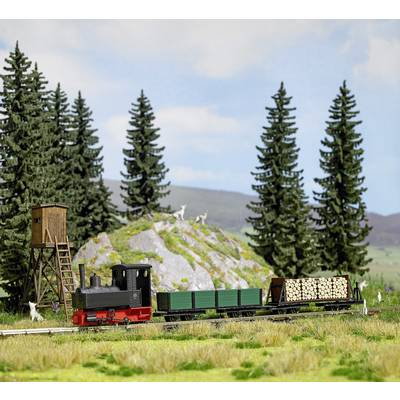 Une petite locomotive à vapeur tire des wagons de bois sur une voie ferrée à travers un paysage rural parsemé de grands arbres résineux.
