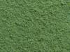NOCH 07331 Flocage vert clair