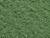NOCH 07341 Flocage vert clair