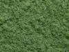 NOCH 07351 Flocage vert clair