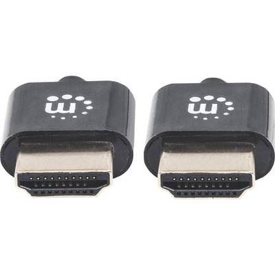 Deux adaptateurs HDMI noirs avec des connecteurs dorés côte à côte.