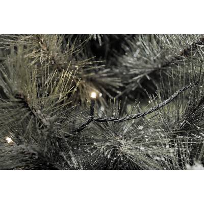 Konstsmide 3648-110 Micro guirlande lumineuse pour l'extérieur CEE: F (A - G) sur secteur Nombre de lumière 1000 LED bla-0