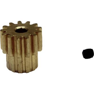 Reely 538517C Pièce de rechange Pignon moteur-0