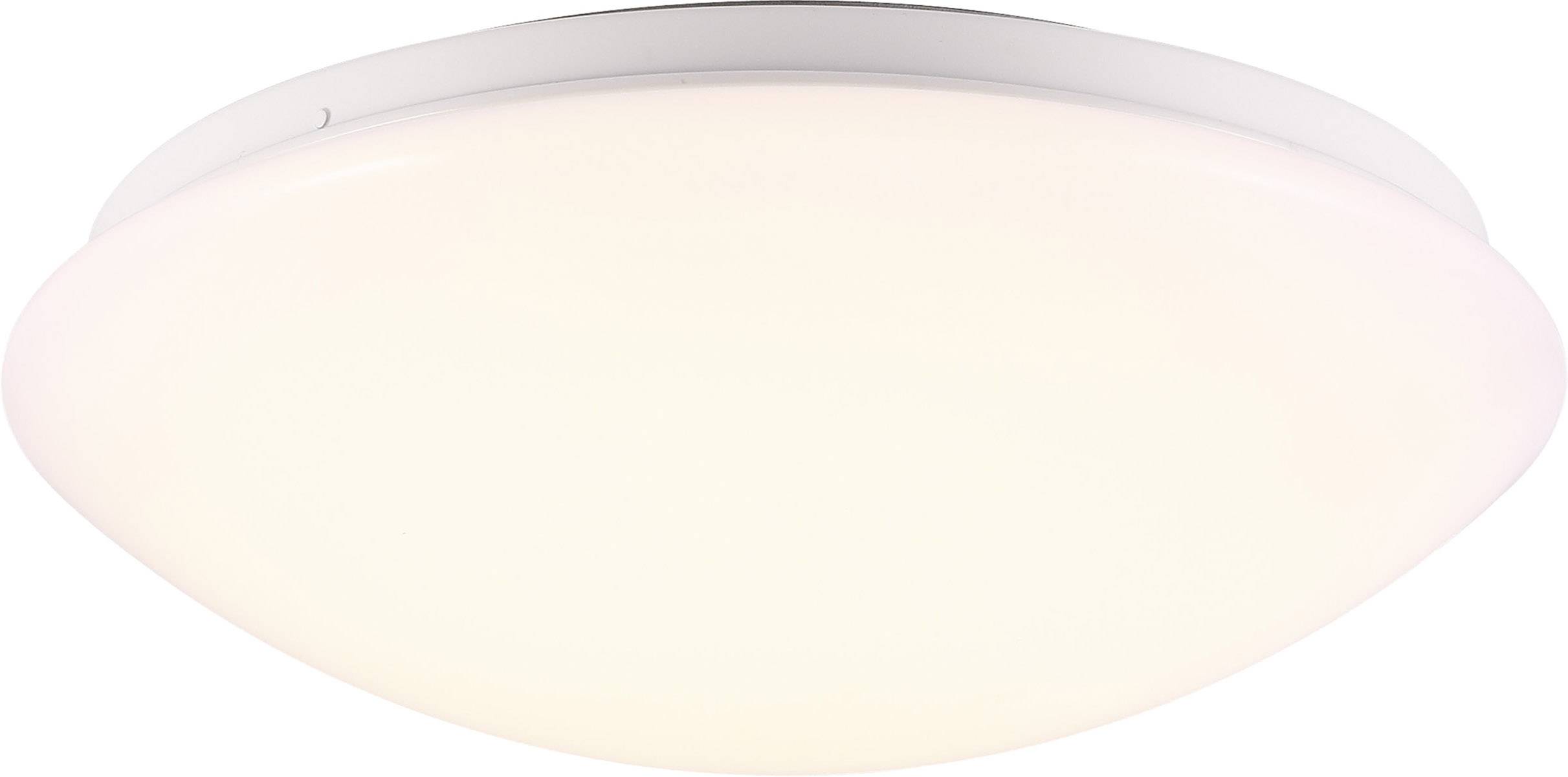Luminaire plafonnier rond et plat avec un abat-jour en plastique blanc opaque et un cadre métallique. Adapté pour les espaces intérieurs comme source d'éclairage principale.