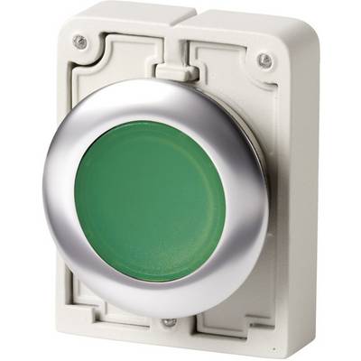 Un grand bouton rond vert avec un bord argenté sur un fond rectangulaire gris.