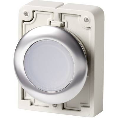 Un bouton de sonnette argenté au design circulaire, monté sur un boîtier rectangulaire gris clair avec des fixations à vis.