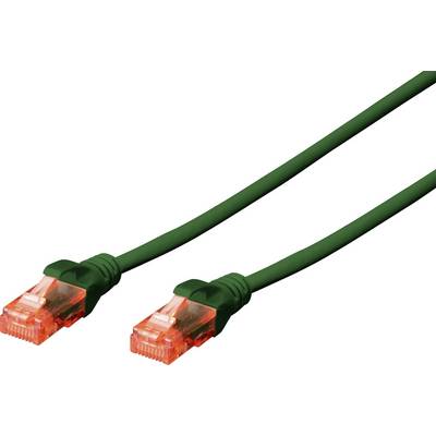 Un câble réseau vert avec deux fiches orange à ses extrémités montre une possibilité de connexion pour Internet ou un réseau.