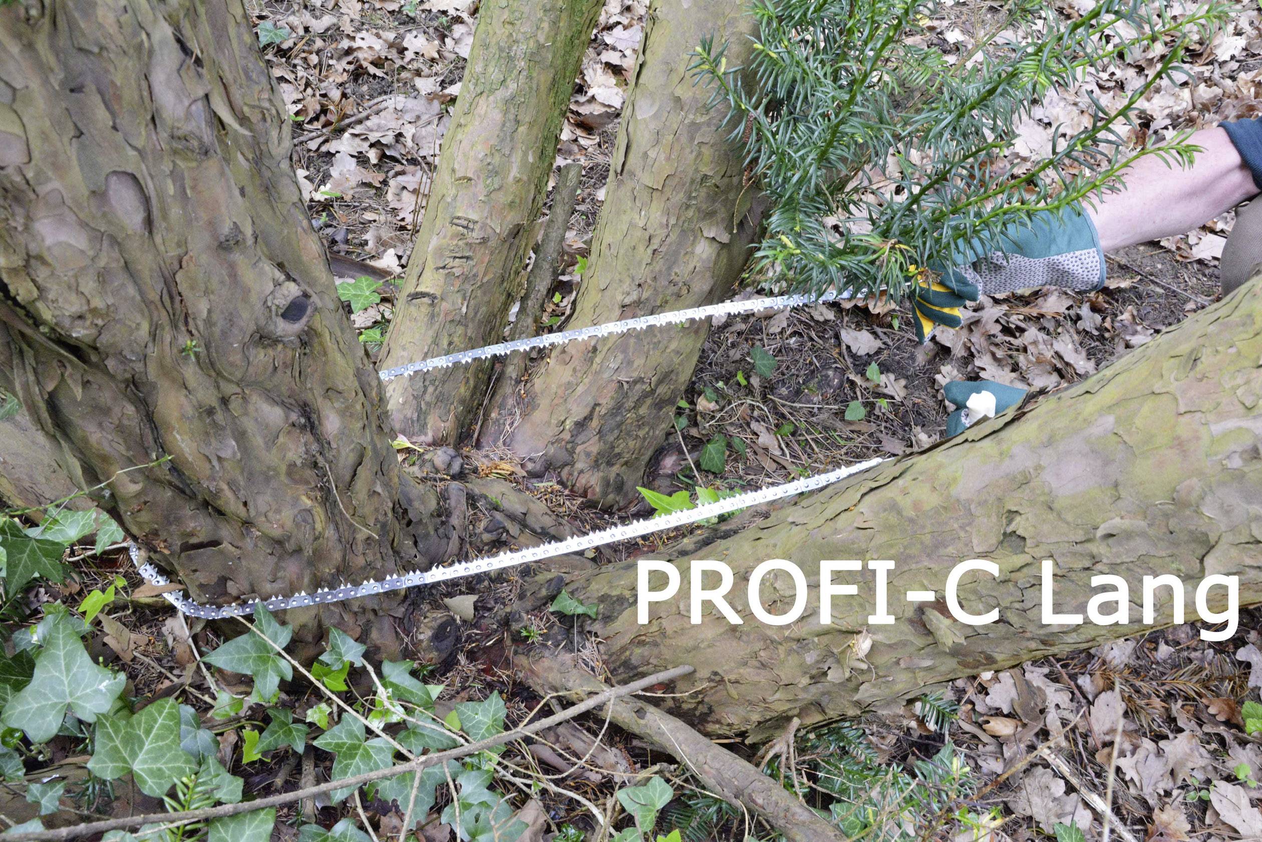 Une scie coupe des branches d'un arbre dans la forêt. À droite, on peut voir l'inscription 'PROFI-C Lang'.