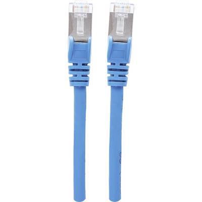 Deux câbles Ethernet bleus avec des connecteurs transparents, côte à côte, sur un fond blanc.