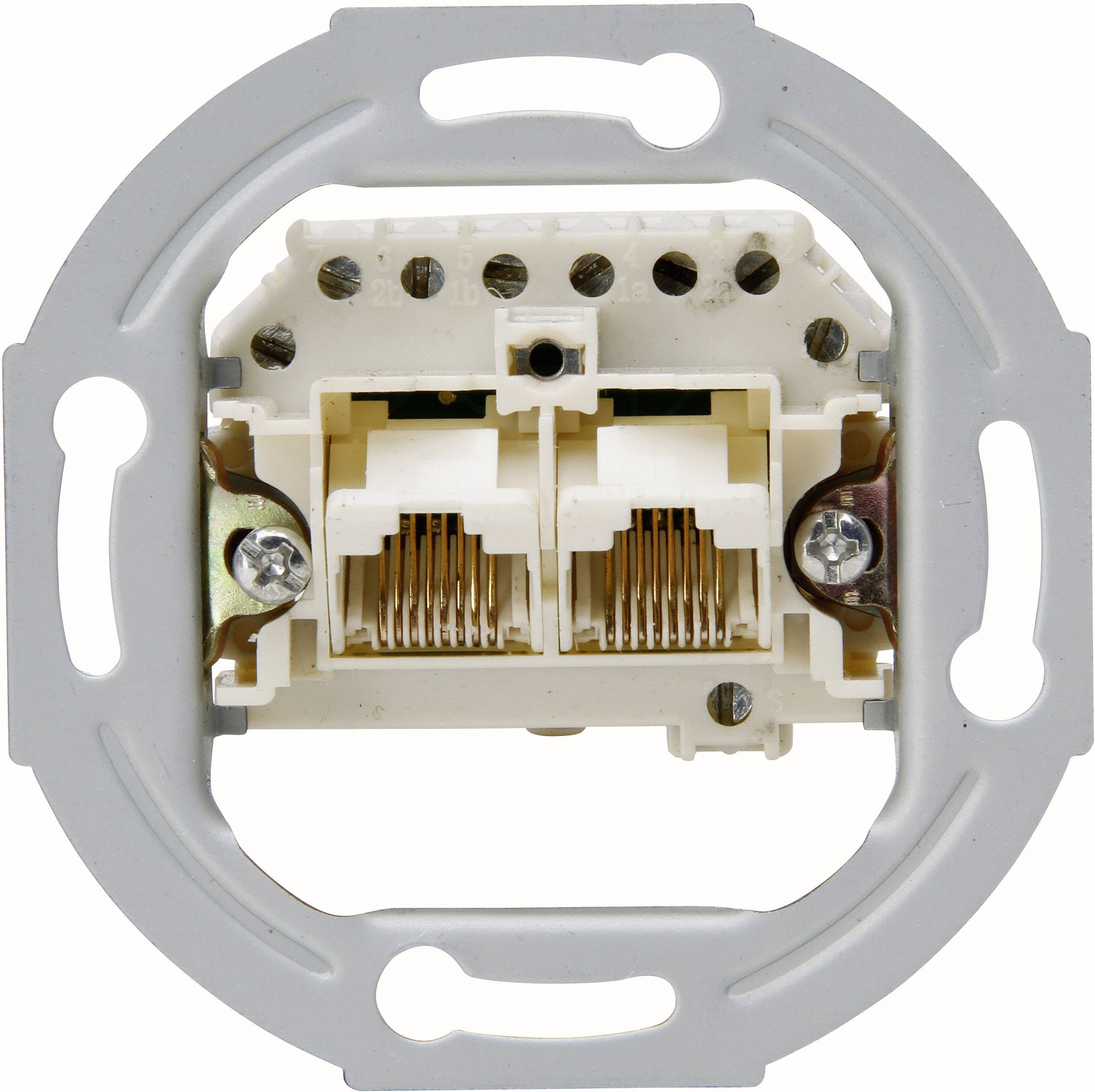 Gros plan sur un module de prise électrique avec deux ports RJ45, adapté aux installations réseau dans les murs.