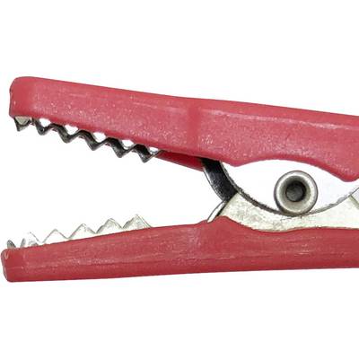 Une pince crocodile rouge avec des bords dentelés, ouverte et vue de côté, sur un fond blanc.