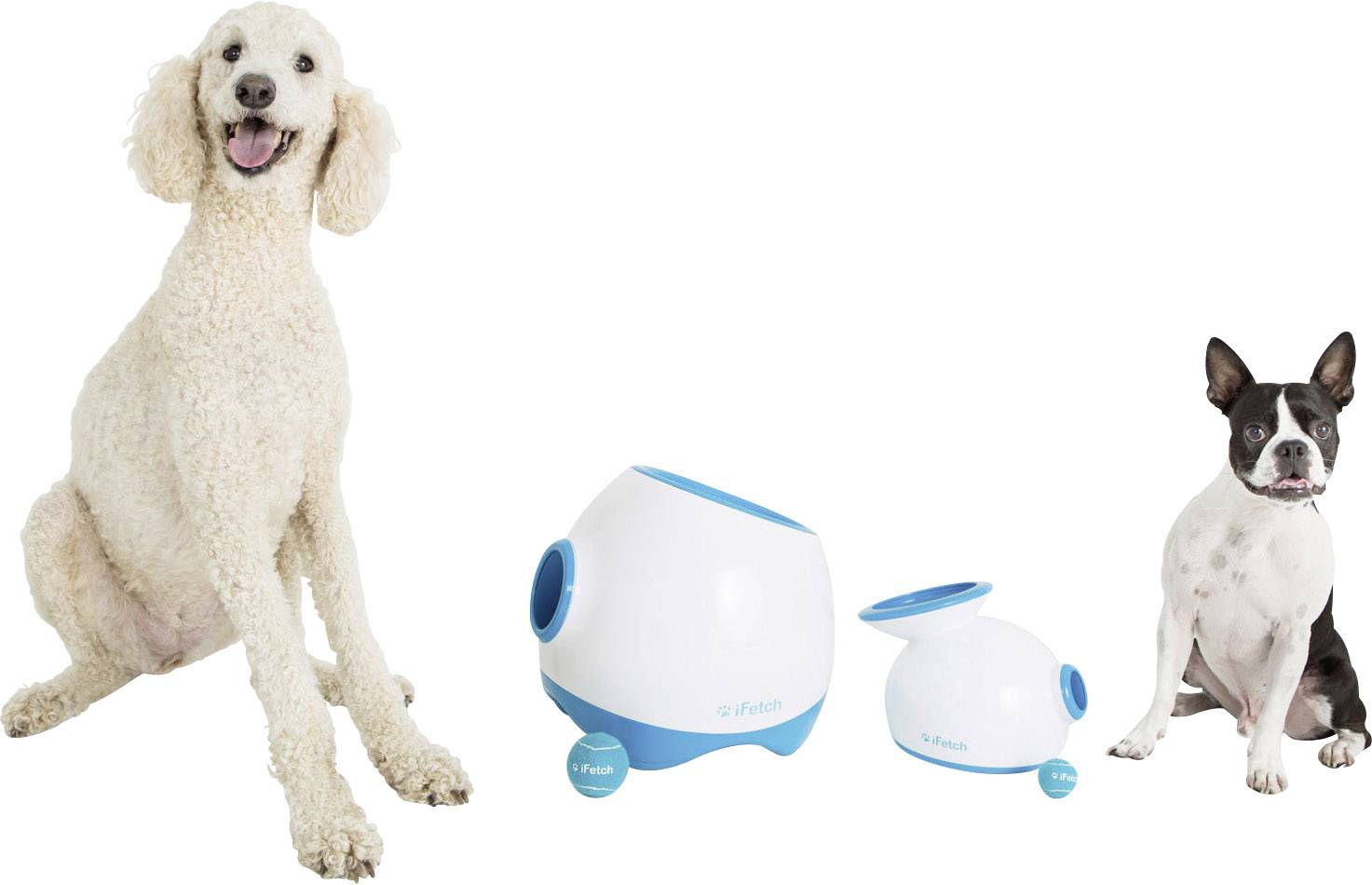 iFetch Too Lanceur de balles blanc, bleu 1 pc(s)-6