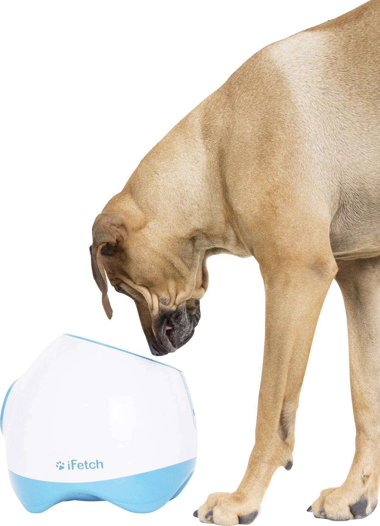 iFetch Too Lanceur de balles blanc, bleu 1 pc(s)-16