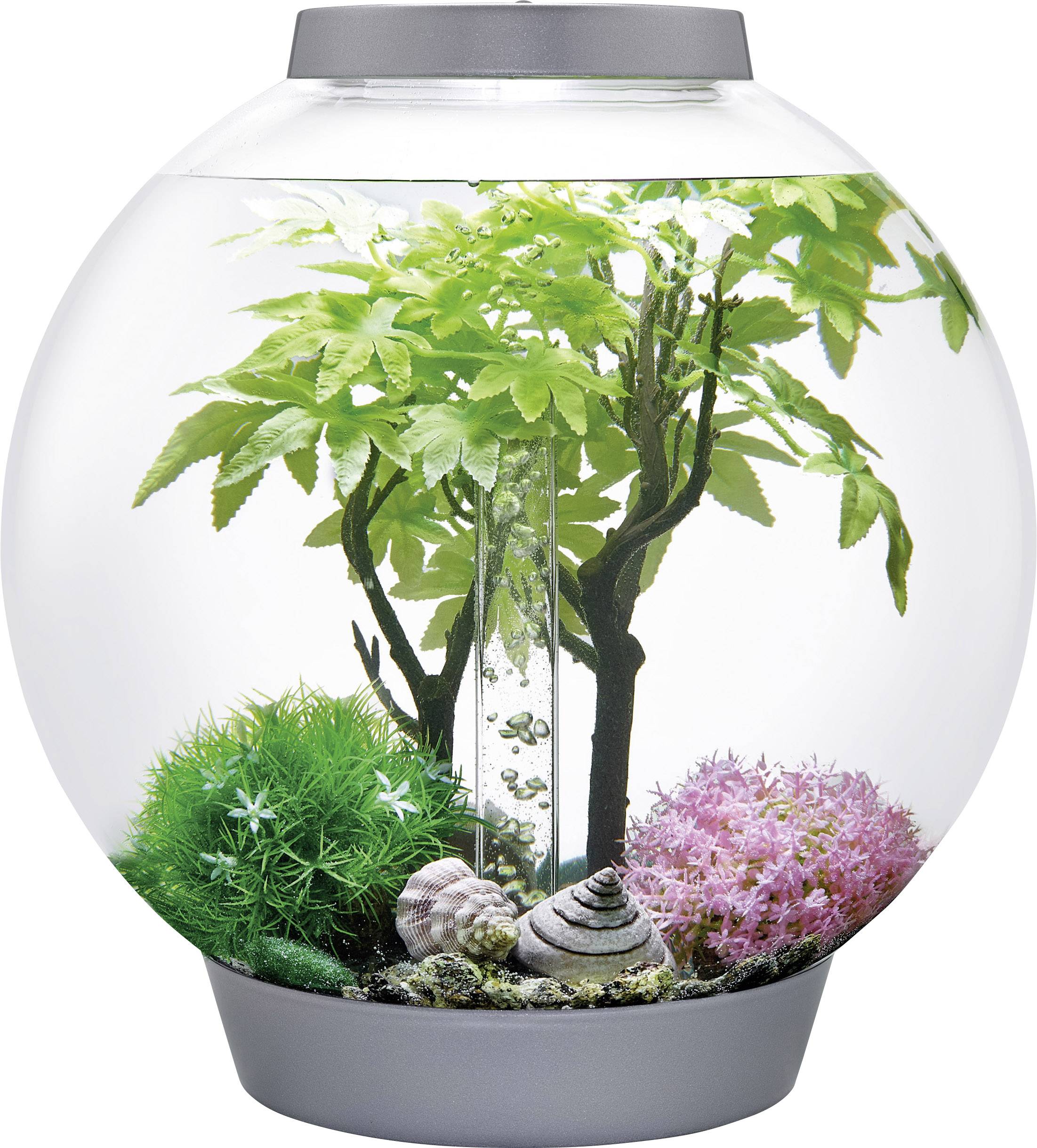 Oase 55029 biOrb Decor Set 30L Sommer Décoration pour aquarium 30 l-2