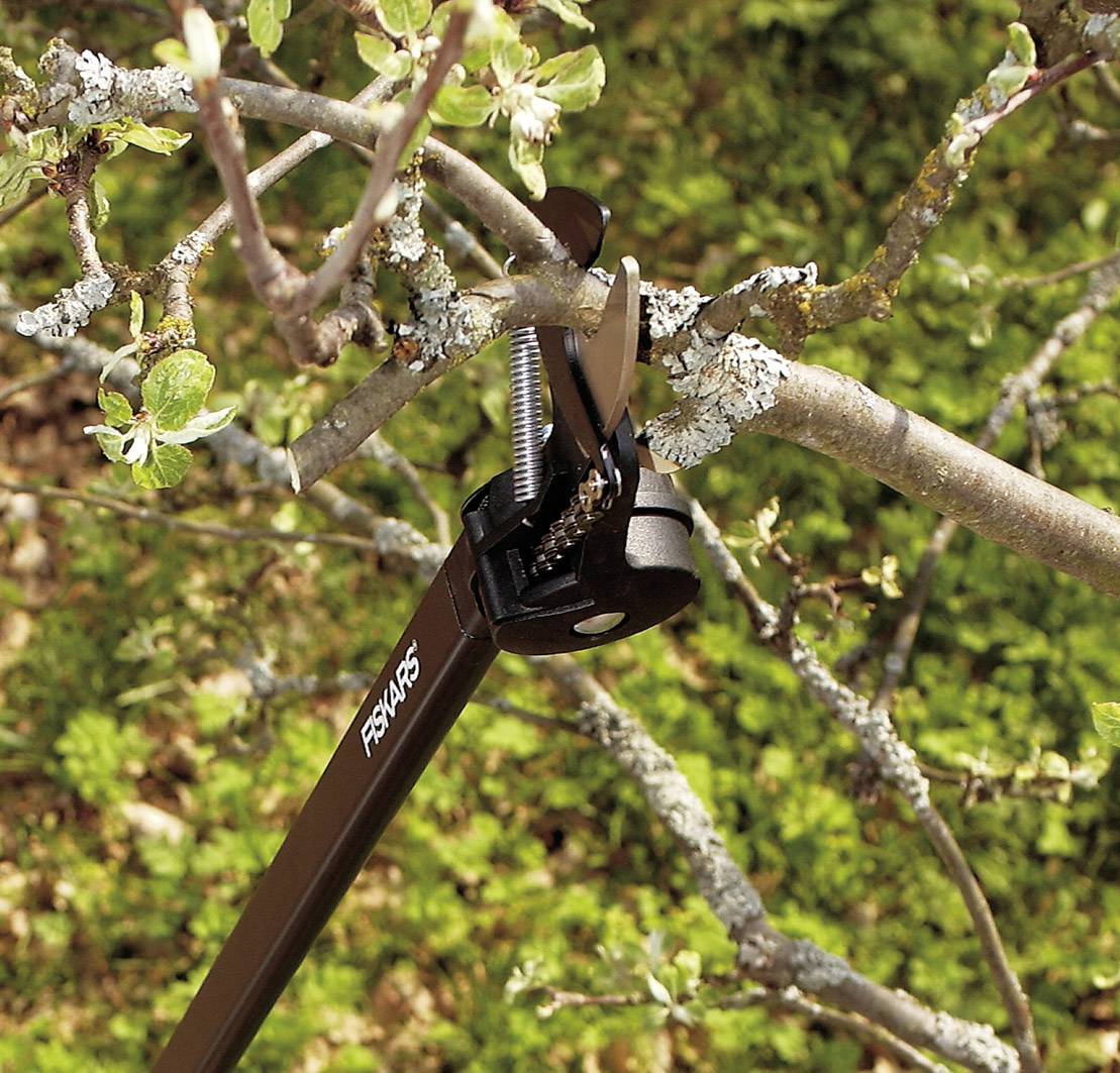 Sécateur, coupe une branche d'un arbre. Il est utilisé pour effectuer des coupes précises sur des plantes ou des arbustes.