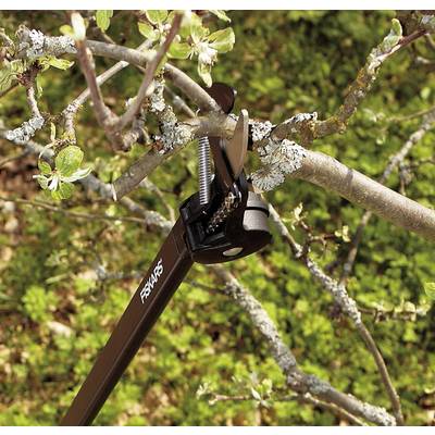 Sécateur, coupe une branche d'un arbre. Il est utilisé pour effectuer des coupes précises sur des plantes ou des arbustes.