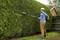 Un homme portant un casque de protection et des gants coupe une grande haie avec un taille-haie électrique dans un jardin.