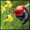 Tondeuse rouge coupe l'herbe à côté de fleurs de narcisses jaunes. L'appareil affiche la marque 'Einhell'. Ciel clair et pelouse verte en arrière-plan.