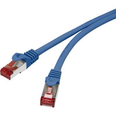 Deux câbles Ethernet bleus avec des connecteurs rouges, utilisés pour les connexions réseau.