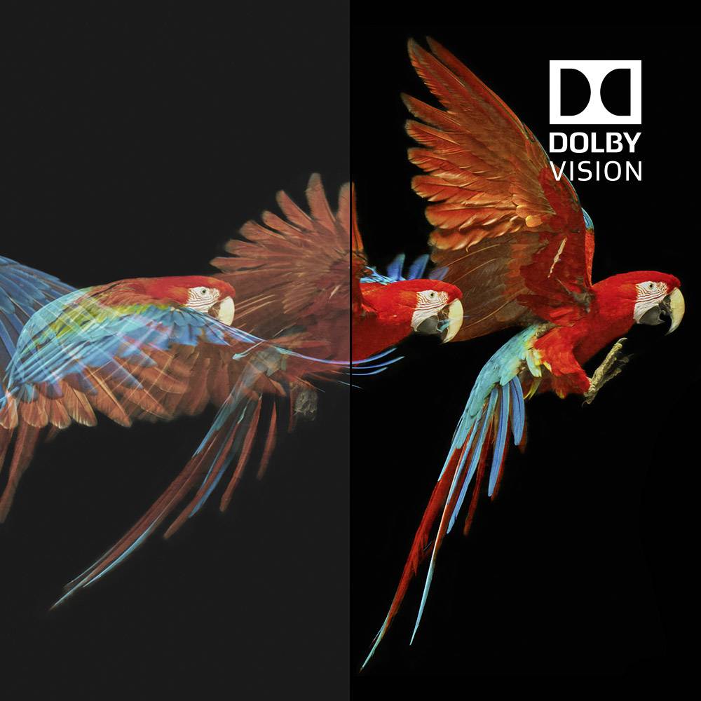 Belkin HDMI Câble de raccordement Fiche mâle HDMI-A, Fiche mâle HDMI-A 2.00 m noir AV10175bt2M-BLK 4K UHD Câble HDMI-2