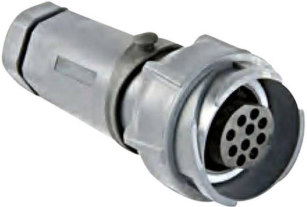 "Connecteur de câble mâle série Buccaneer 7000 Bulgin Buccaneer 7000 PXP7011/02P/ST/1113    1 pc(s)"