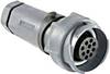 "Connecteur de câble mâle série Buccaneer 7000 Bulgin Buccaneer 7000 PXP7011/02P/ST/1113 1 pc(s)"