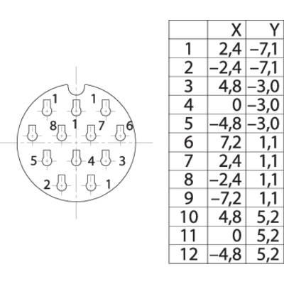 'Dessin technique d'un brochage de connecteur avec tableau correspondant. Le tableau montre les coordonnées X-Y pour chaque broche 1-12.'
