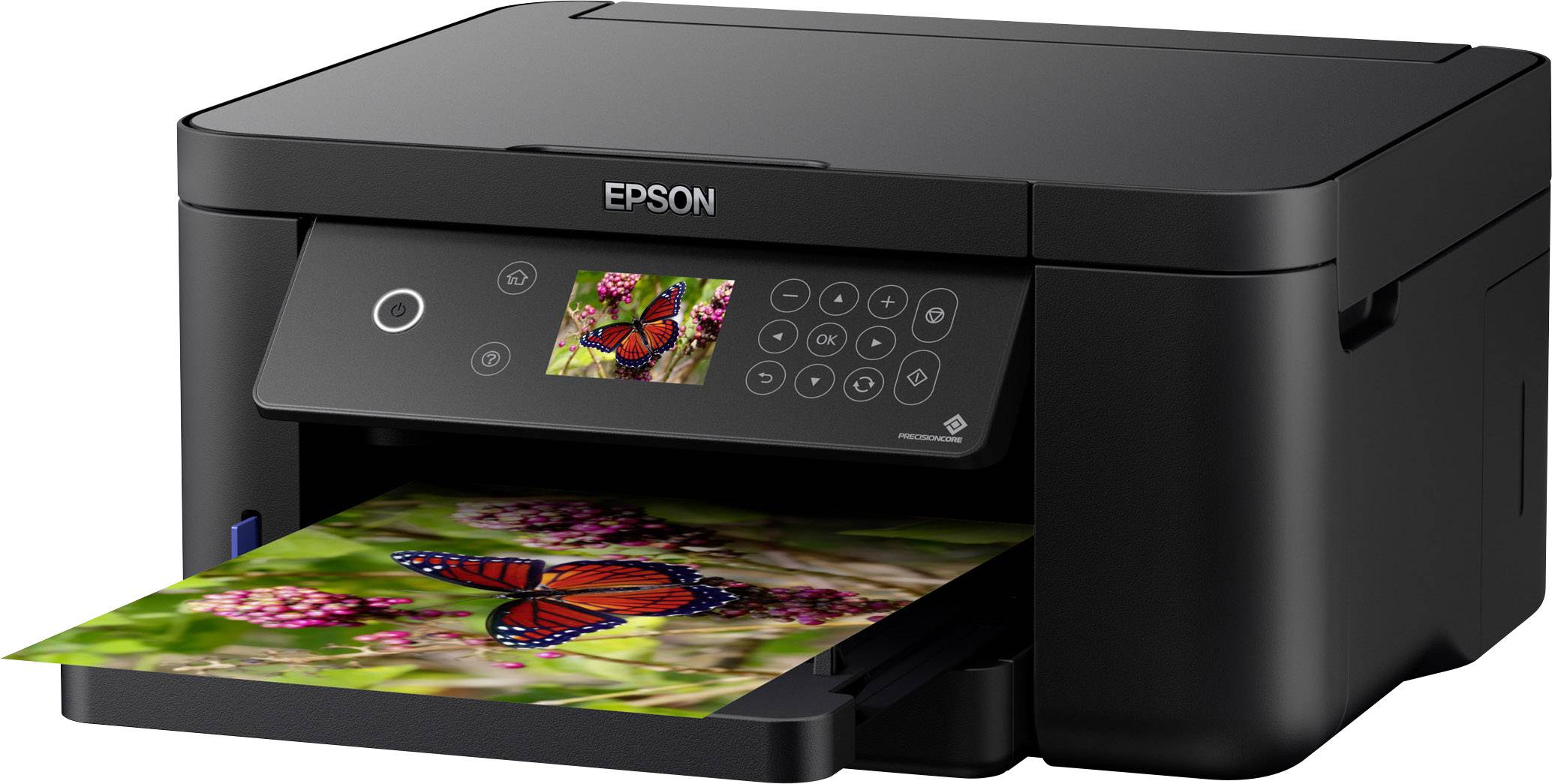 epson xp 245 scan to usb