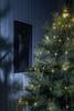 Konstsmide 6381-890 Eclairage pour arbre de Noël pour l'intérieur CEE: E (A - G) sur secteur Nombre de lumière 200 LED ambré