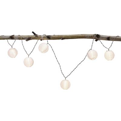 Six lanternes en papier blanc sont suspendues à une branche. Elles sont reliées par une guirlande lumineuse et brillent doucement.