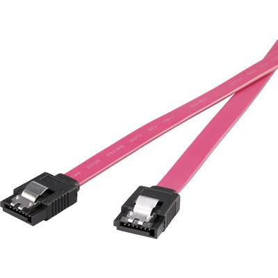 Renkforce disque dur Câble de raccordement [1x SATA femelle 7 pôles - 1x SATA femelle 7 pôles] 0.50 m rouge