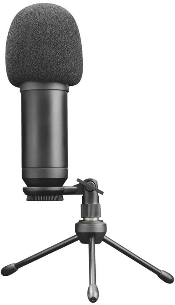 Microphone noir sur pied avec protection en mousse, monté sur un trépied, adapté pour les enregistrements audio ou les podcasts.