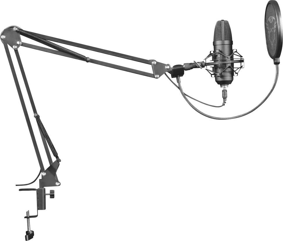 Un microphone avec un filtre anti-pop, fixé à un bras ajustable, idéal pour les enregistrements sonores ou les configurations de podcasting.